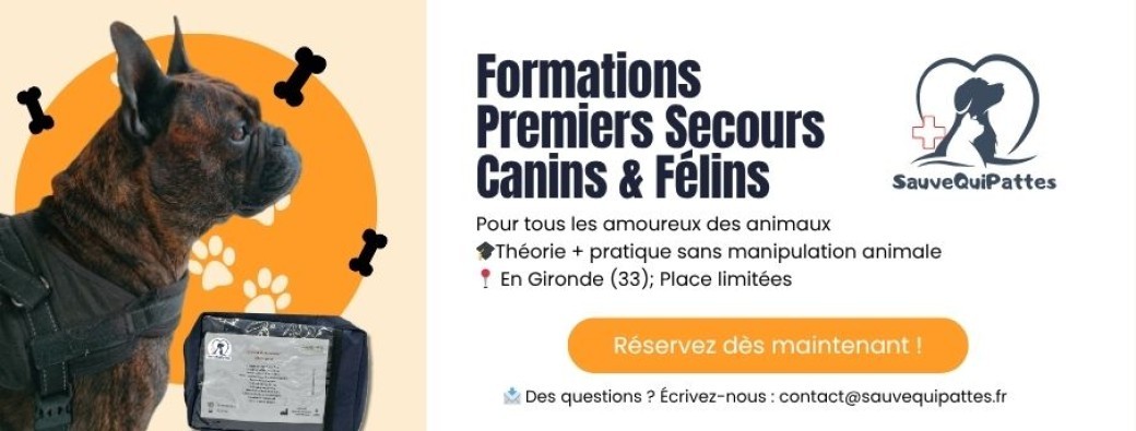 Formation aux Premiers Secours Canins et Félins – SauveQuiPattes