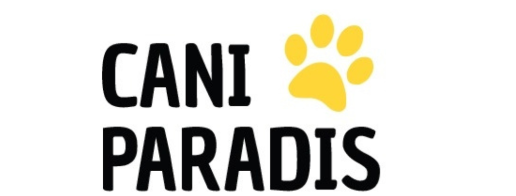 Formation aux Premiers Secours Canins et Félins - ST Jean d'Illac