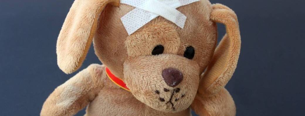 Formation aux Premiers Secours Canins et Félins