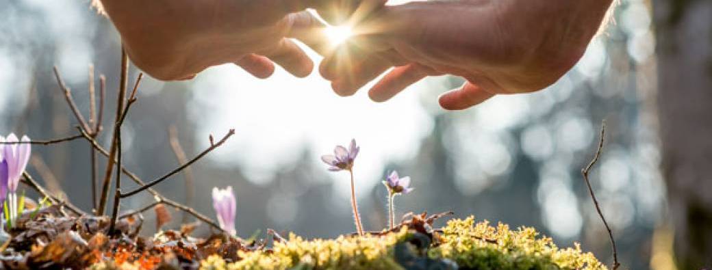 Formation aux soins esséniens : les mémoires cellulaires