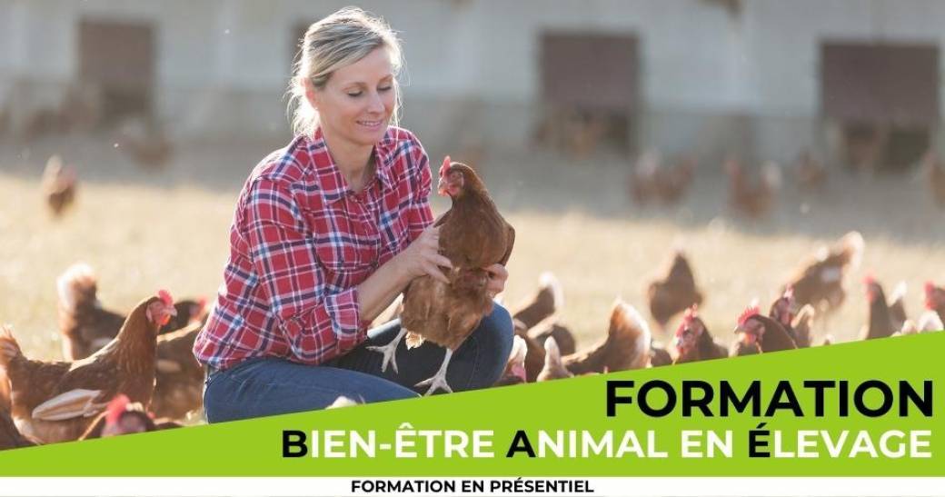 Formation Bien-être animal en élevage - PARIS
