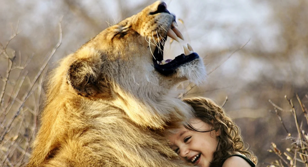 FORMATION COMMUNICATION ANIMALE sur ANGERS