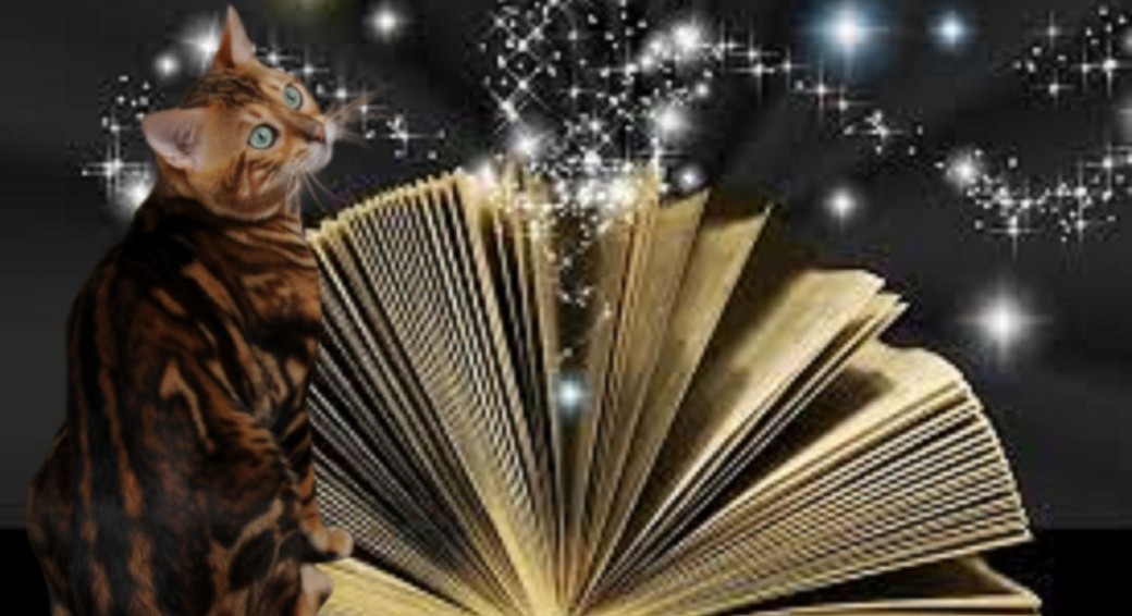 FORMATION COMMUNICATION ANIMALE sur ANGERS