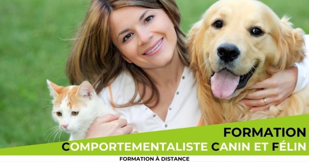 Formation comportementaliste animalier à distance
