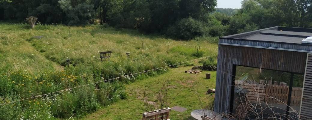 Formation "Cuisine des plantes sauvages"