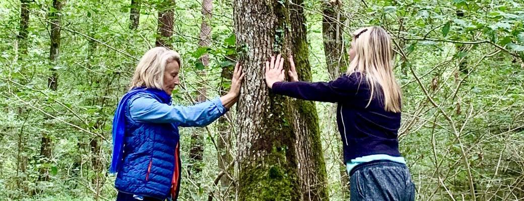 FORMATION de Guide de bain de foret & Sylvothérapie
