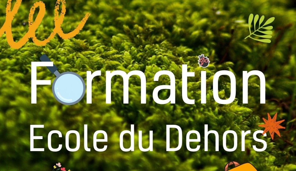 Formation Ecole du Dehors - module "Butor"