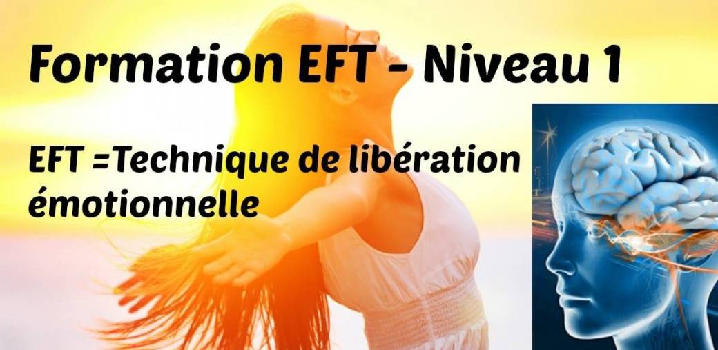 Formation EFT niveau 1