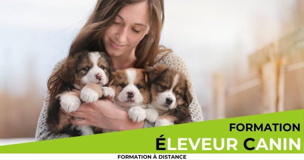 Formation éleveur canin à distance