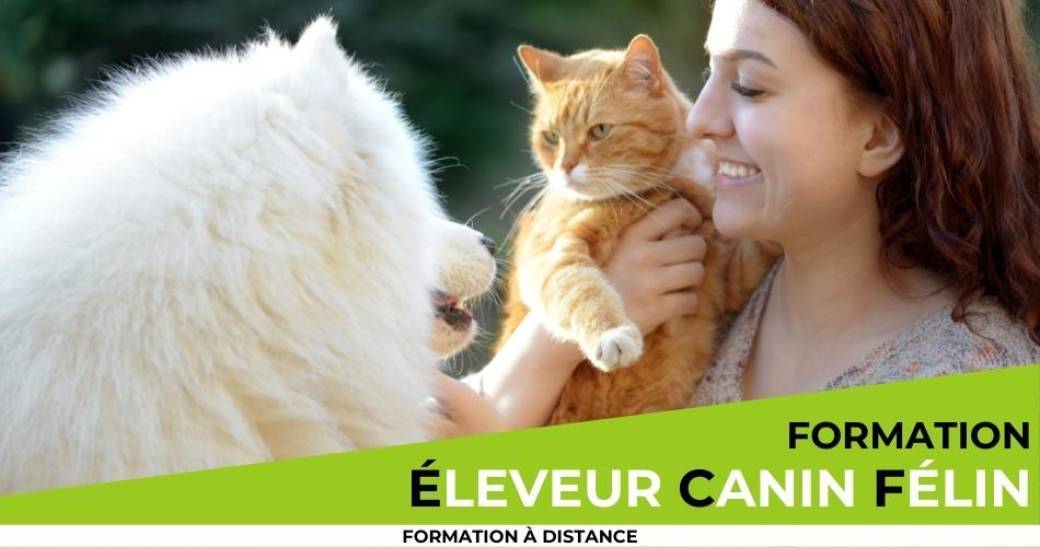 Formation éleveur canin et félin à distance