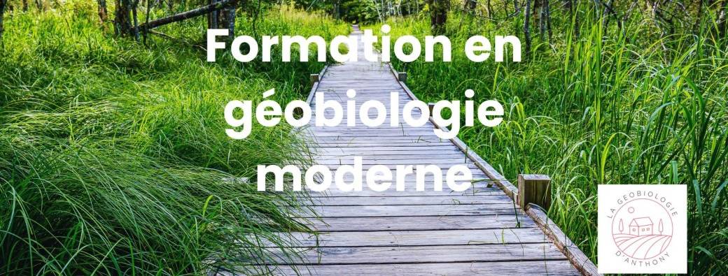 Formation en géobiologie moderne