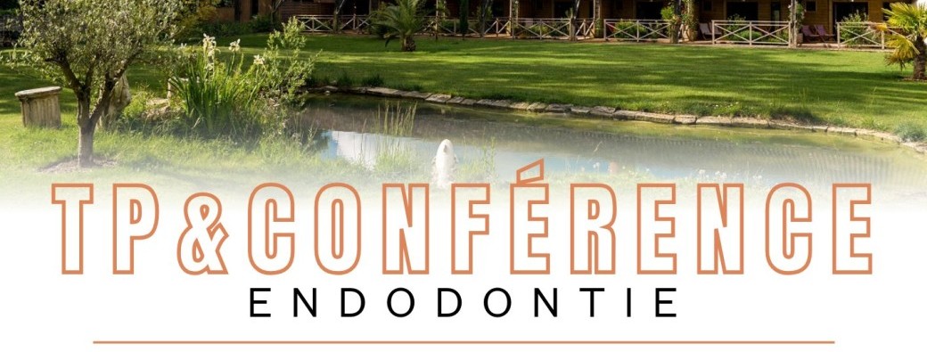 Formation Endodontie