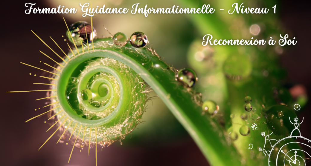 Formation Guidance informationnelle Niveau 1