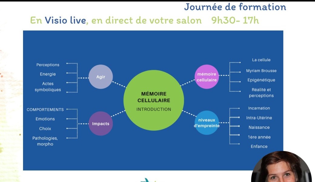 Formation: Introduction à la mémoire cellulaire
