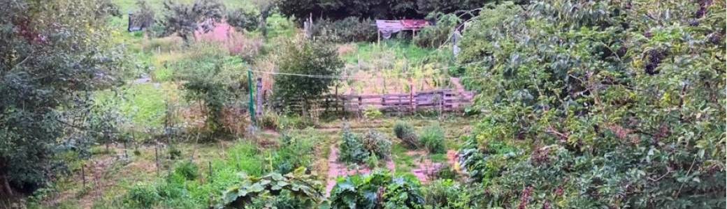 Formation : Introduction à la permaculture (module 4) : Le potager, nourrir la Terre et se nourrir