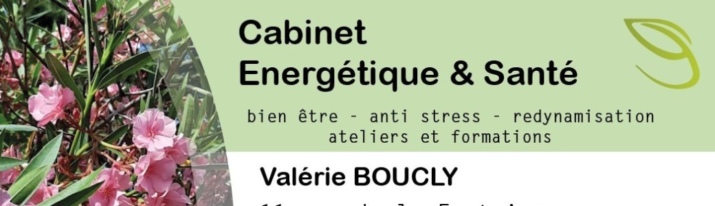 Formation magnétisme curatif