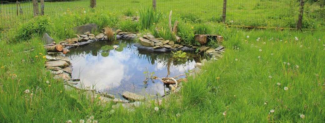 Formation- Mare dans mon jardin, comment l'entretenir ?