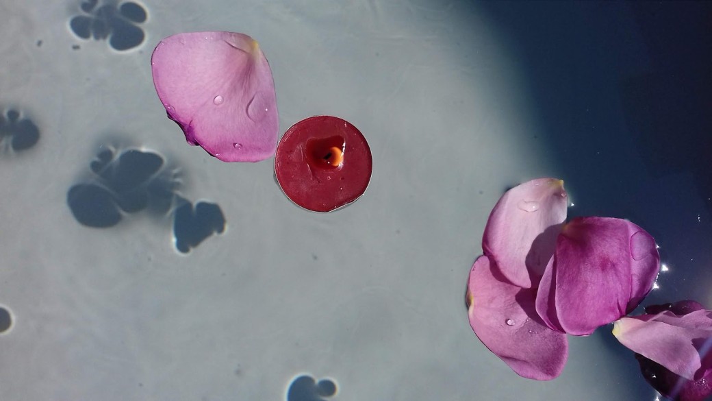 Formation MBSR pleine conscience Formation MBSR pleine conscience