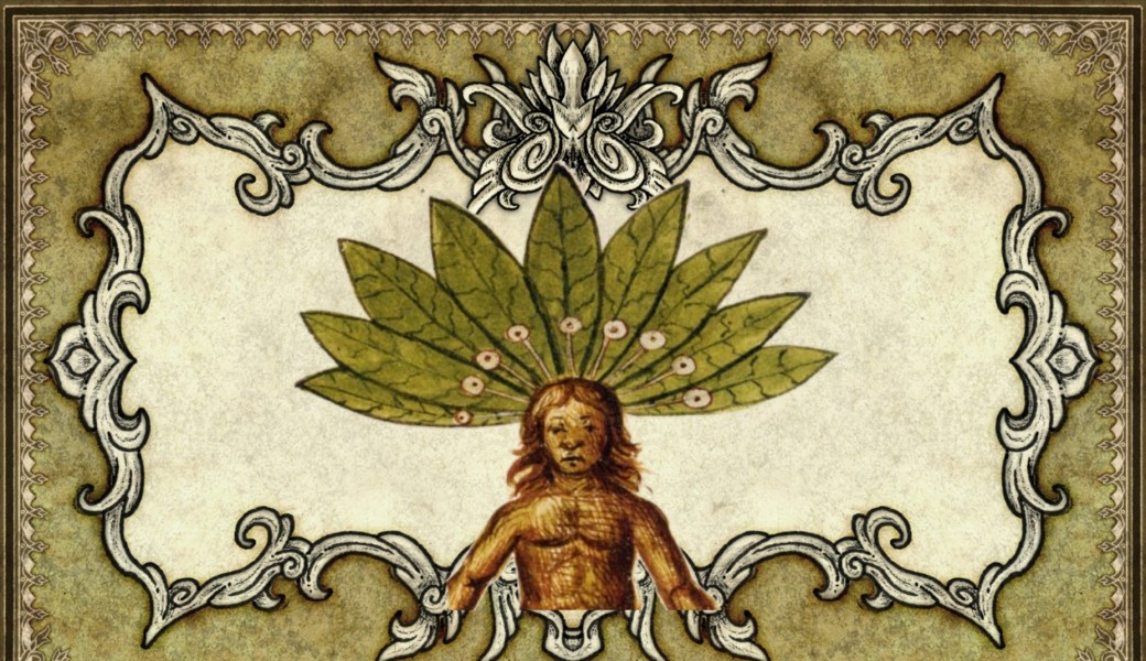 Formation "Plantes et magie"