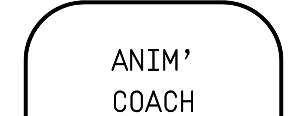 Formation Posture de Coach