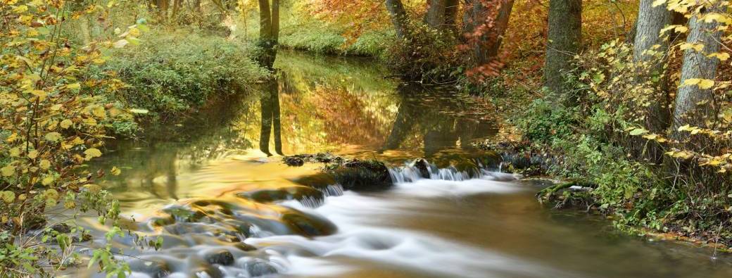 Formation pour accompagnateurs d'enfants en nature
