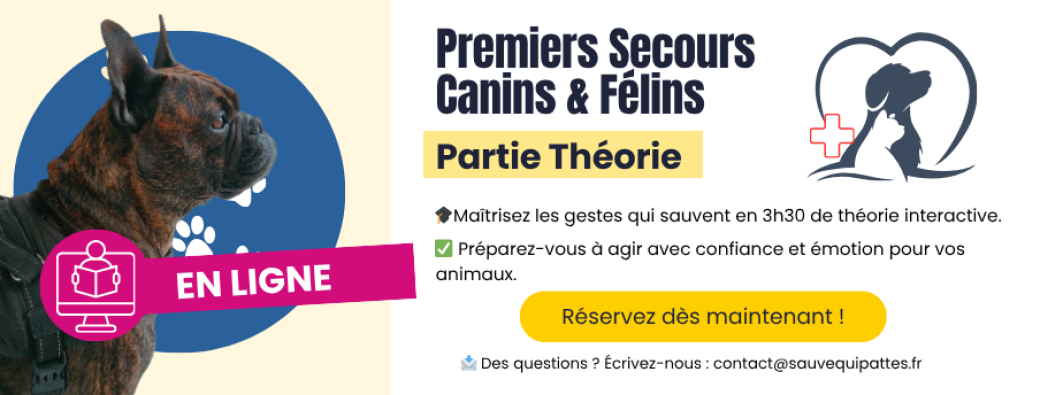 Formation Premiers Secours Canin Félin (partie théorie)