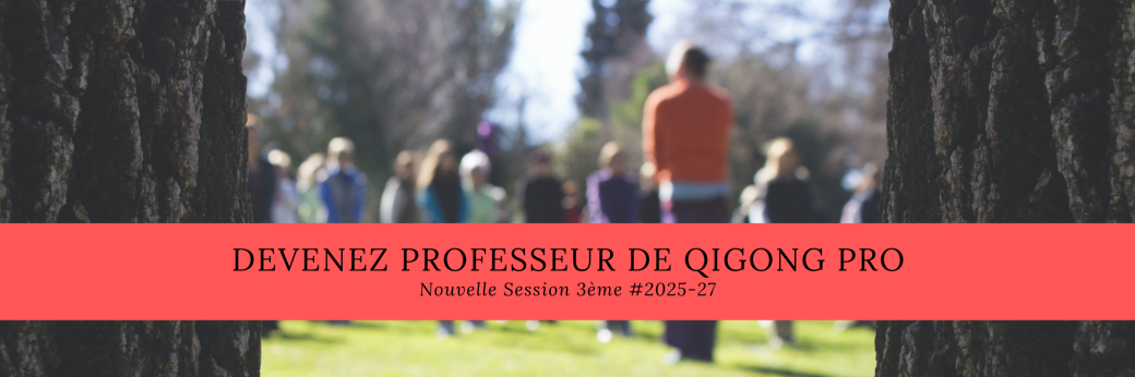 Formation Qi Gong Santé #2023  4ème Année