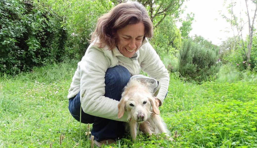 Formation REIKI ANIMAL - Les bases