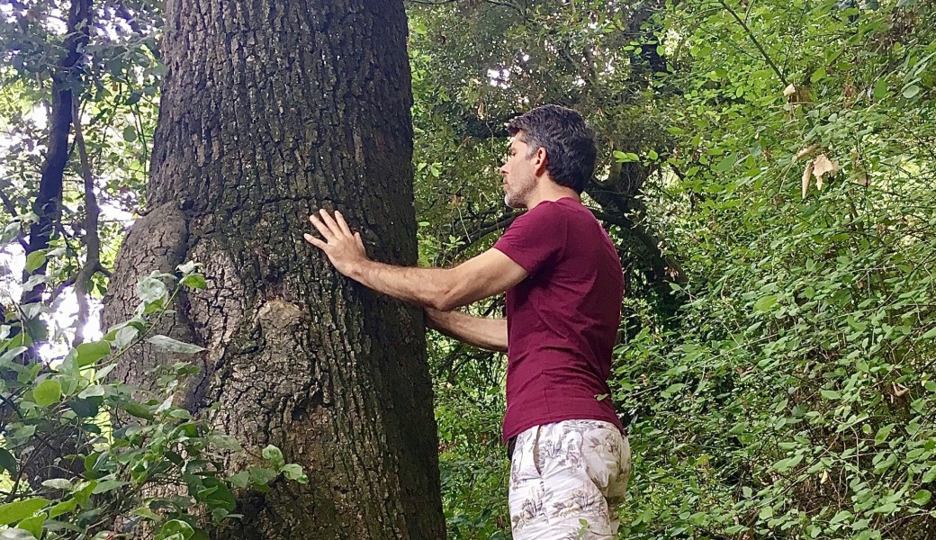 Stage "Savoir bien intégrer les enseignements des arbres"