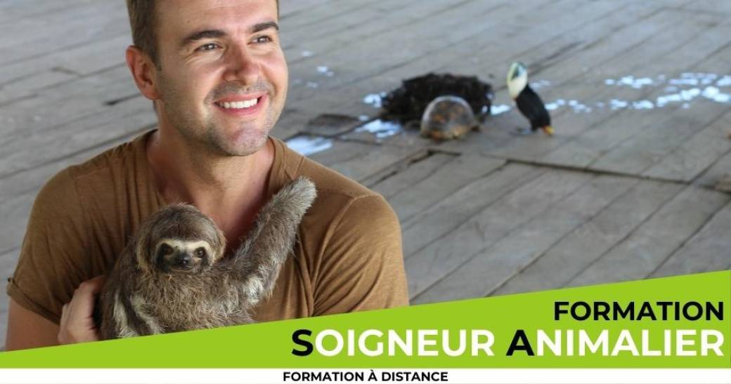 Formation soigneur animalier à distance