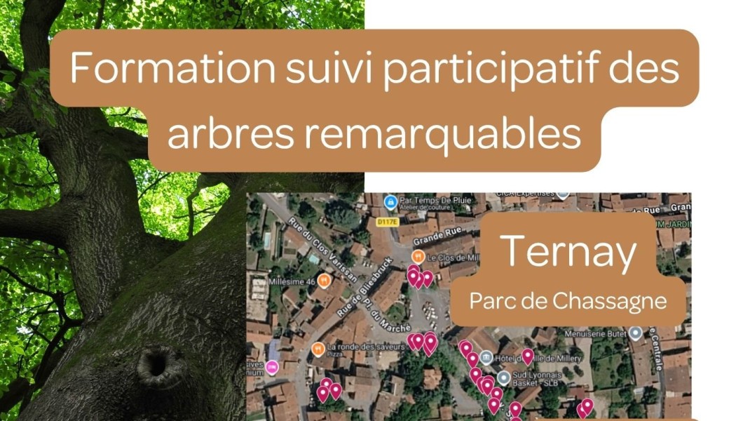 Formation suivi participatif des arbres remarquables