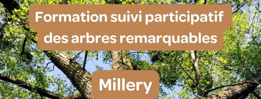 Formation suivi participatif des arbres remarquables