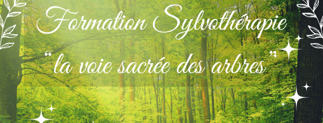 Formation Sylvothérapie "LA VOIE SACREE DES ARBRES"