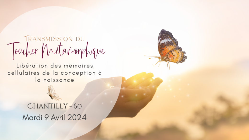 Formation Toucher Métamorphique