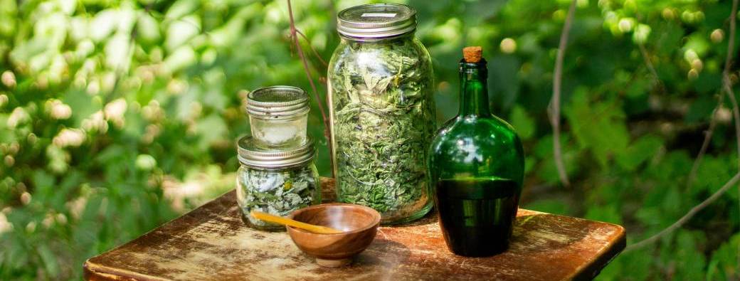 Formule Mauve : 1 balade botanique + 1 atelier tisane