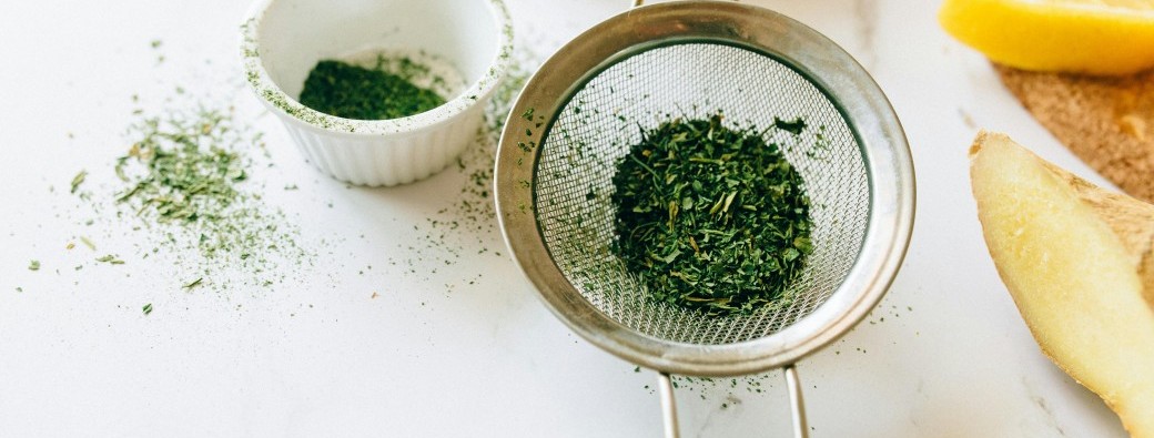 Formule Sureau : 1 balade botanique + 1 atelier cuisine sauvage