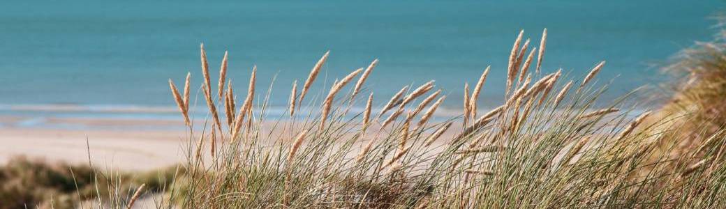 Journée à Fort Mahon - Divion