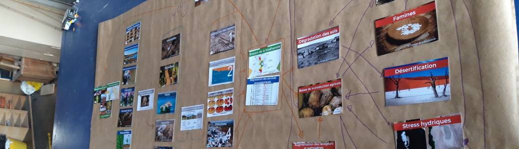 Fresque de la Biodiversité INNOV RH