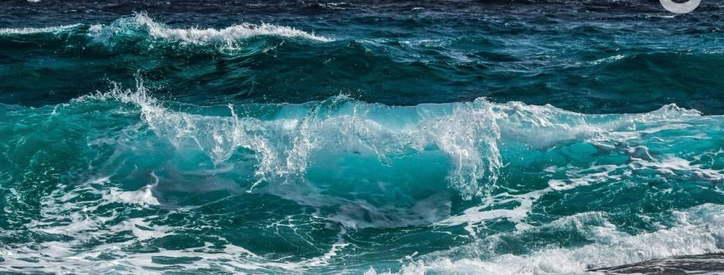 Fresque de l'Océan / Club Mécénat AFF