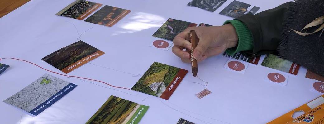 Fresque de la forêt