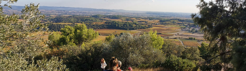 Balade entre garrigue et plaine viticole