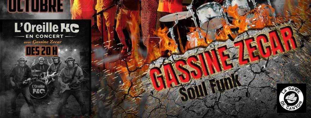 Gassine Zecar x oreille KC