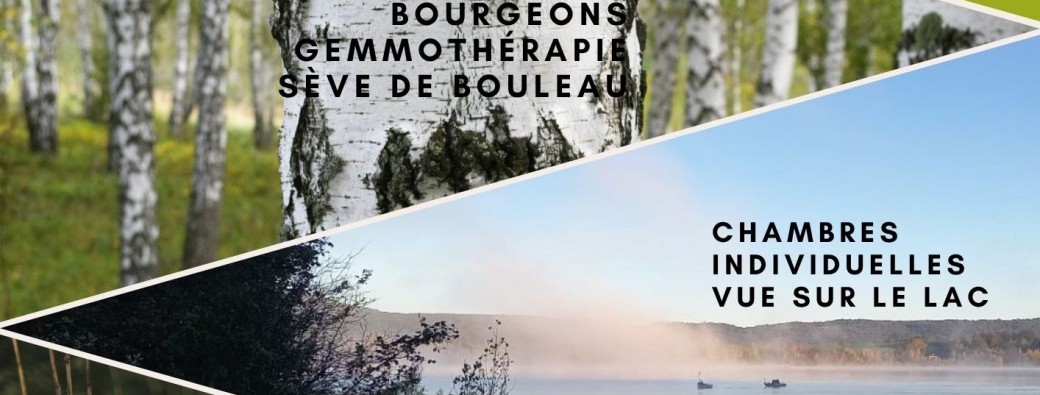 Gemmothérapie, sève de bouleau et plantes du printemps