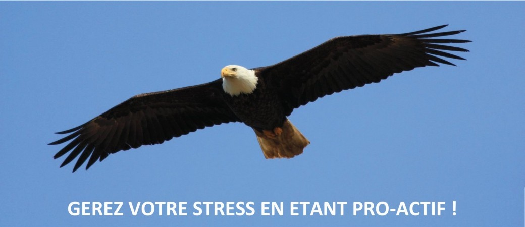 GEREZ VOTRE STRESS EN ETANT PRO-ACTIF !