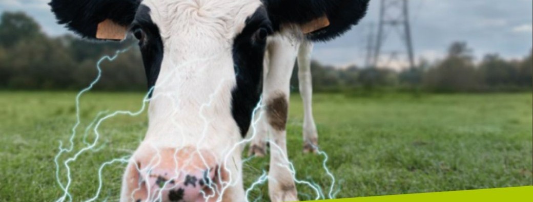 GESTION DES COURANTS PARASITES