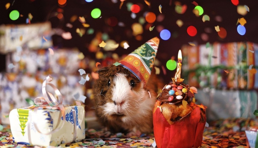 Goûter d'anniversaire 