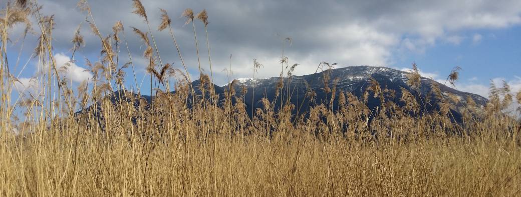 Grand chantier nature ! (9-14ans)