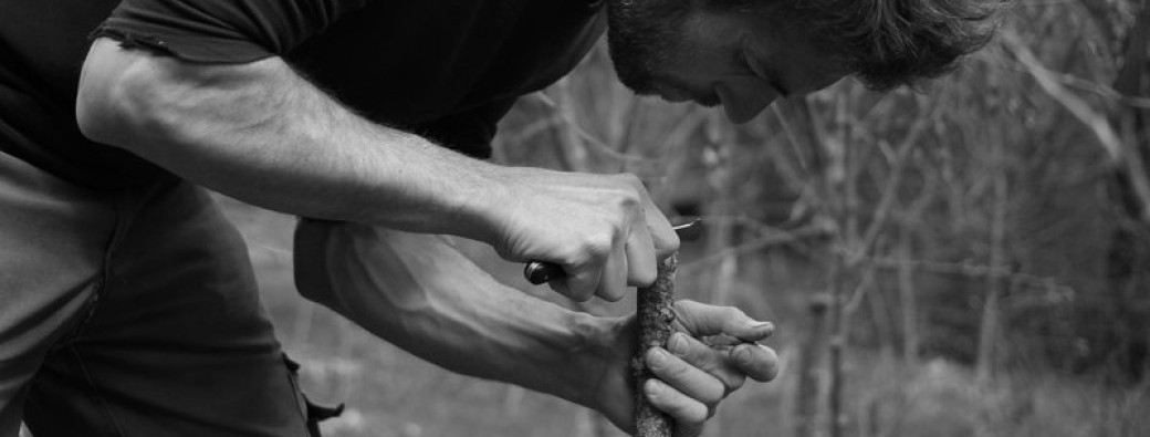 Greffe niveau 2 & Créer sa micro-pépinière
