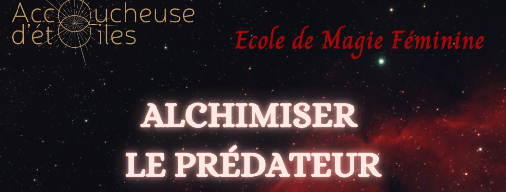 Groupe avancé Alchimiser le Prédateur