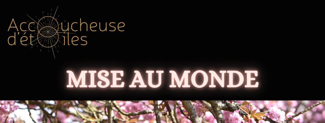 Groupe continu Mise au Monde